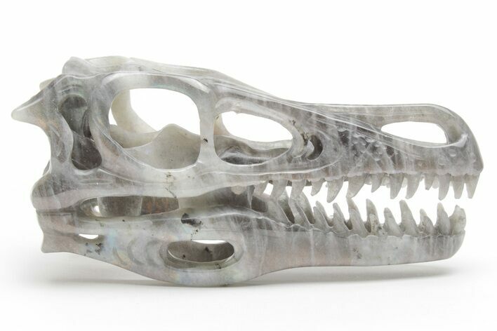 Carved Labradorite Dinosaur Skull #218495